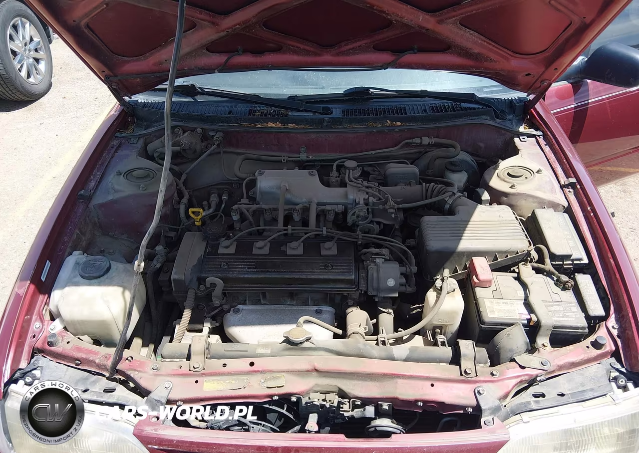 1996 Toyota Corolla VIN:1NXBA02E3TZ383830 - 10