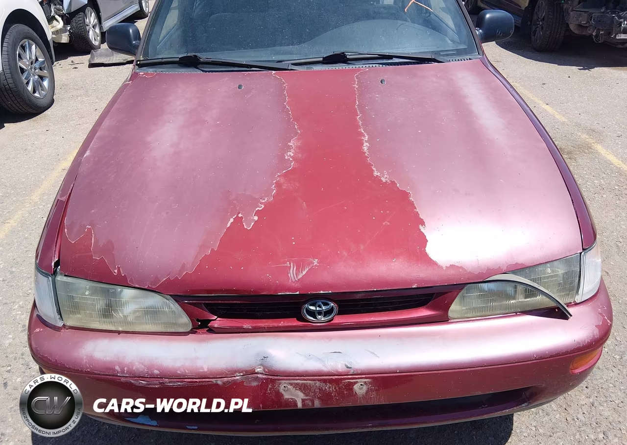 1996 Toyota Corolla VIN:1NXBA02E3TZ383830 - 6