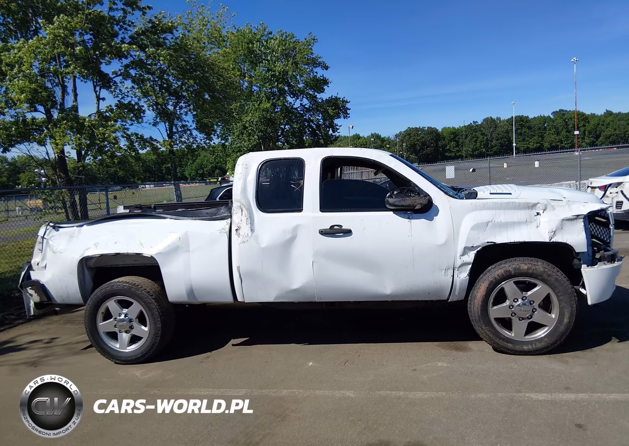2011 Chevrolet Silverado 2500Hd Work Truck VIN:1GC2CVCG3BZ338318 - 12