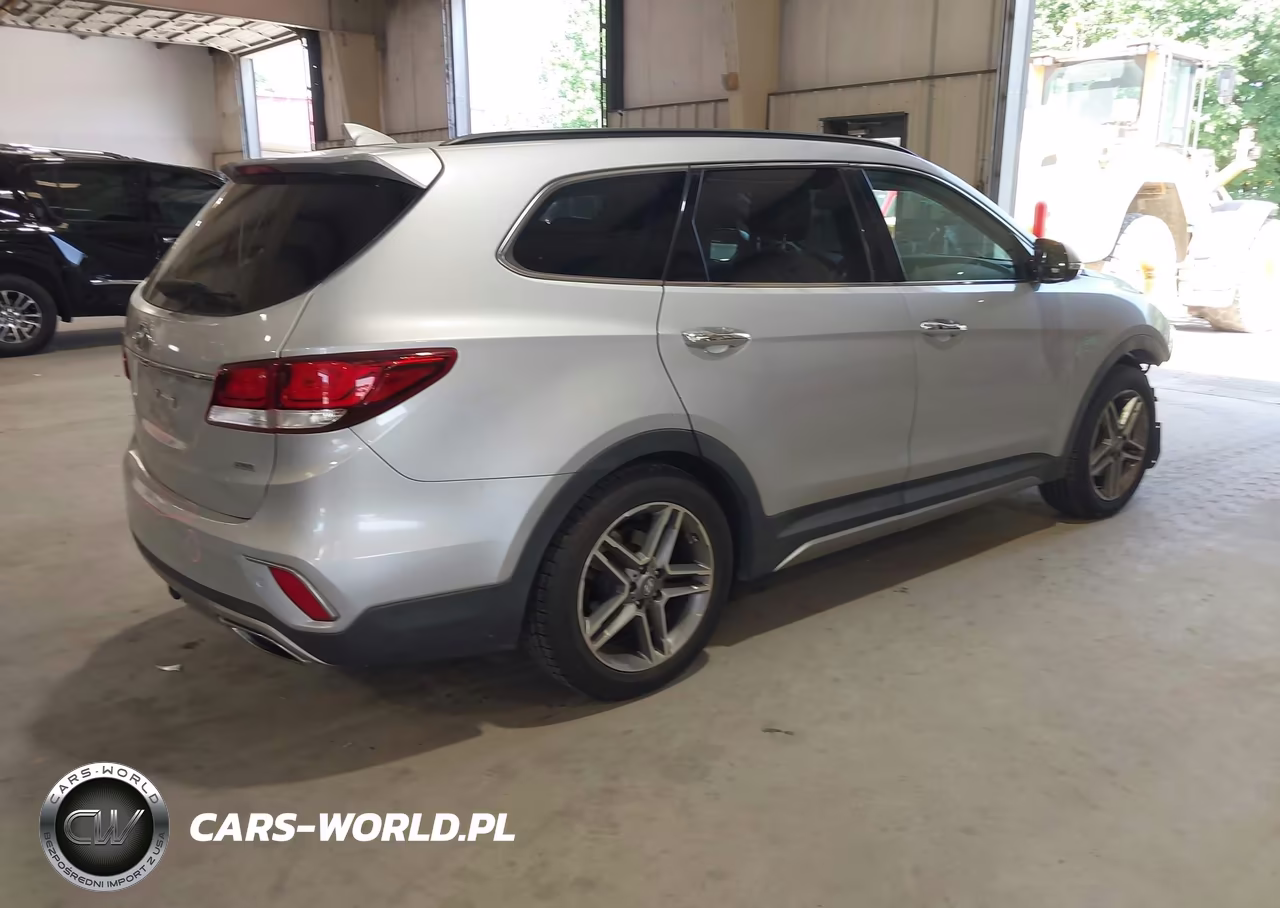2017 Hyundai Santa Fe Limited Ultimate VIN:KM8SR4HF0HU199825 - 4