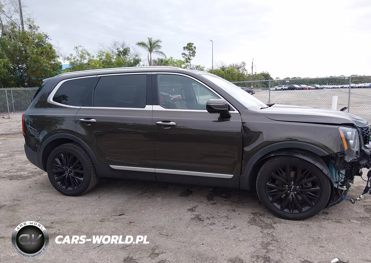 2022 Kia Telluride Sx VIN:5XYP54HC6NG234666 - 14