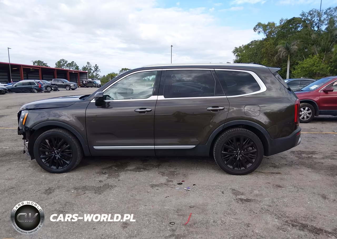 2022 Kia Telluride Sx VIN:5XYP54HC6NG234666 - 15