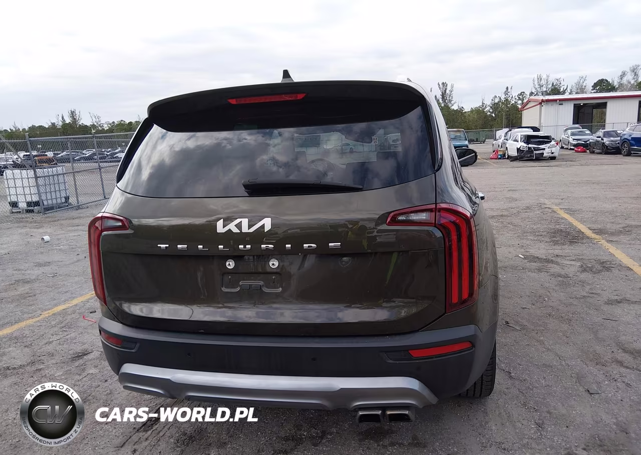 2022 Kia Telluride Sx VIN:5XYP54HC6NG234666 - 17