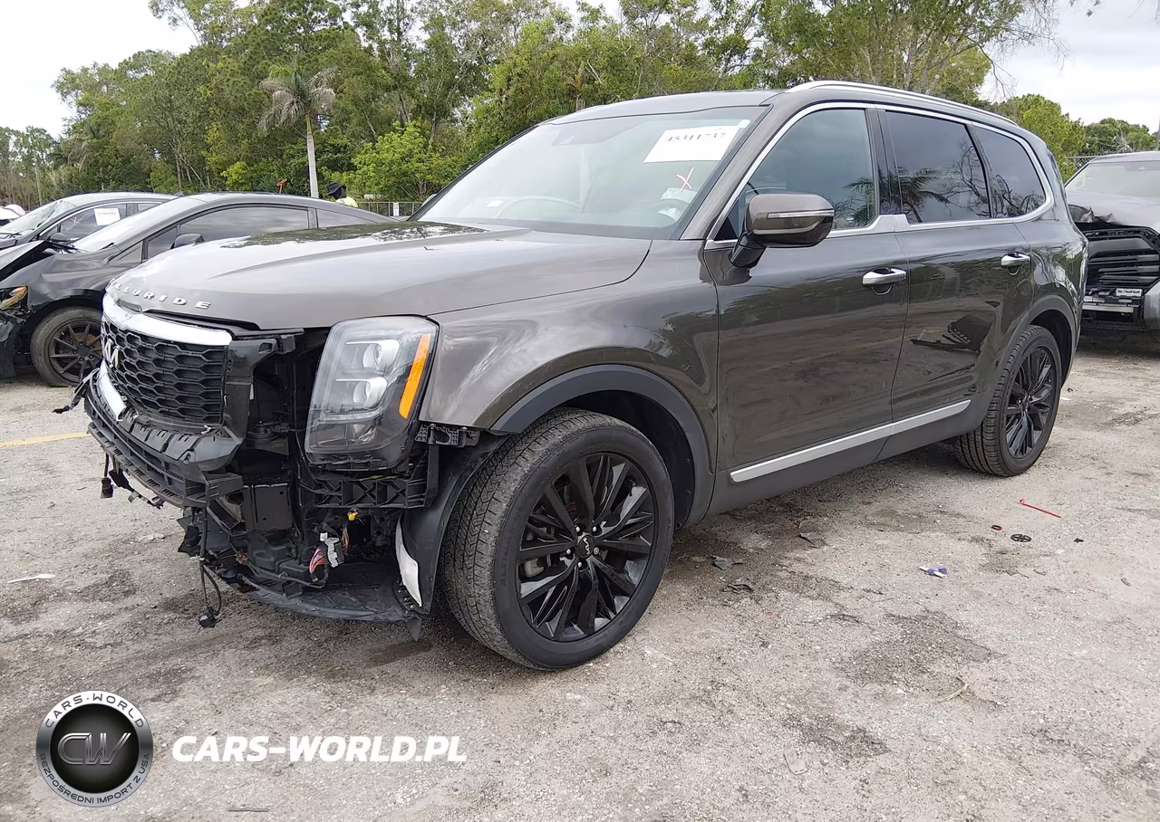 2022 Kia Telluride Sx VIN:5XYP54HC6NG234666 - 2