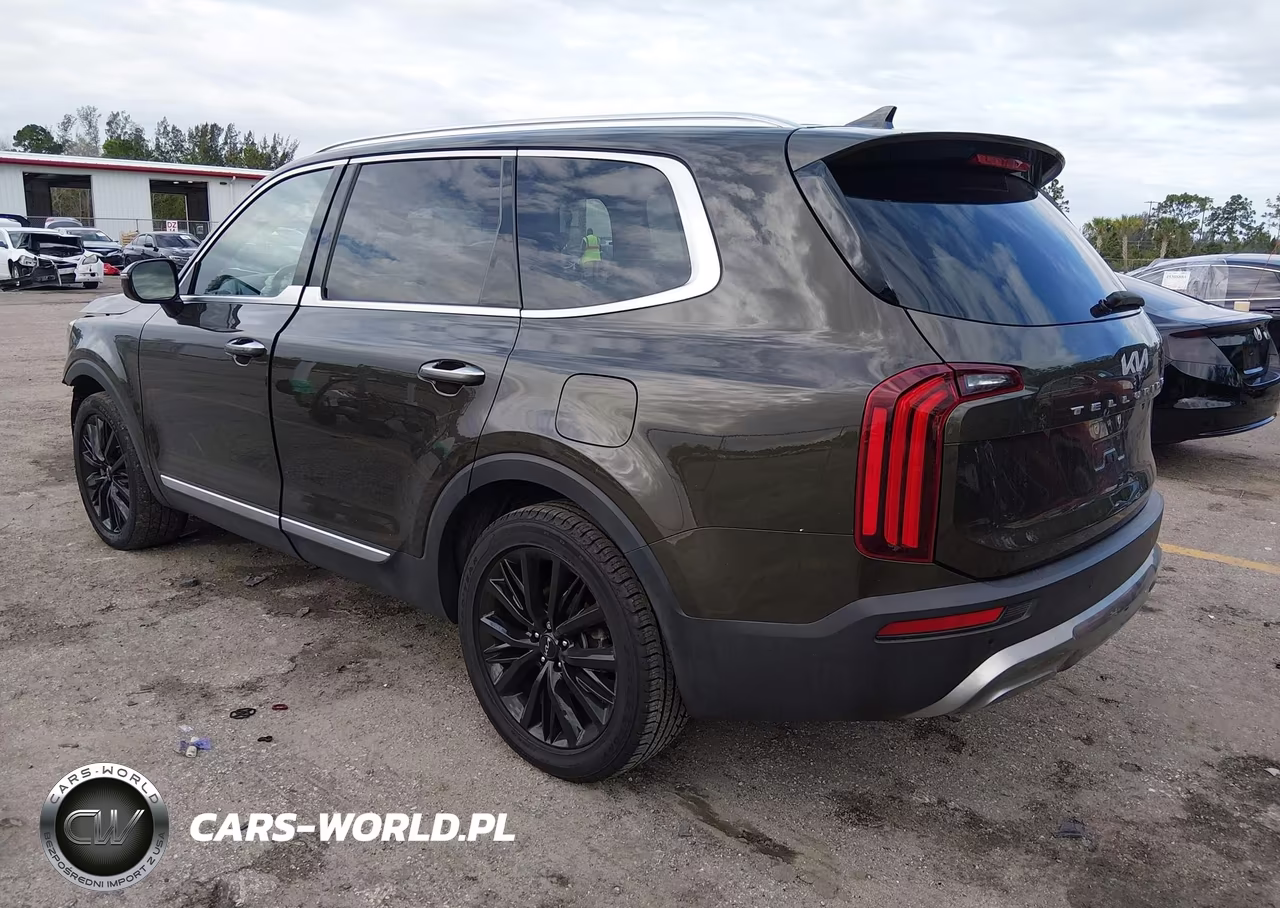 2022 Kia Telluride Sx VIN:5XYP54HC6NG234666 - 3