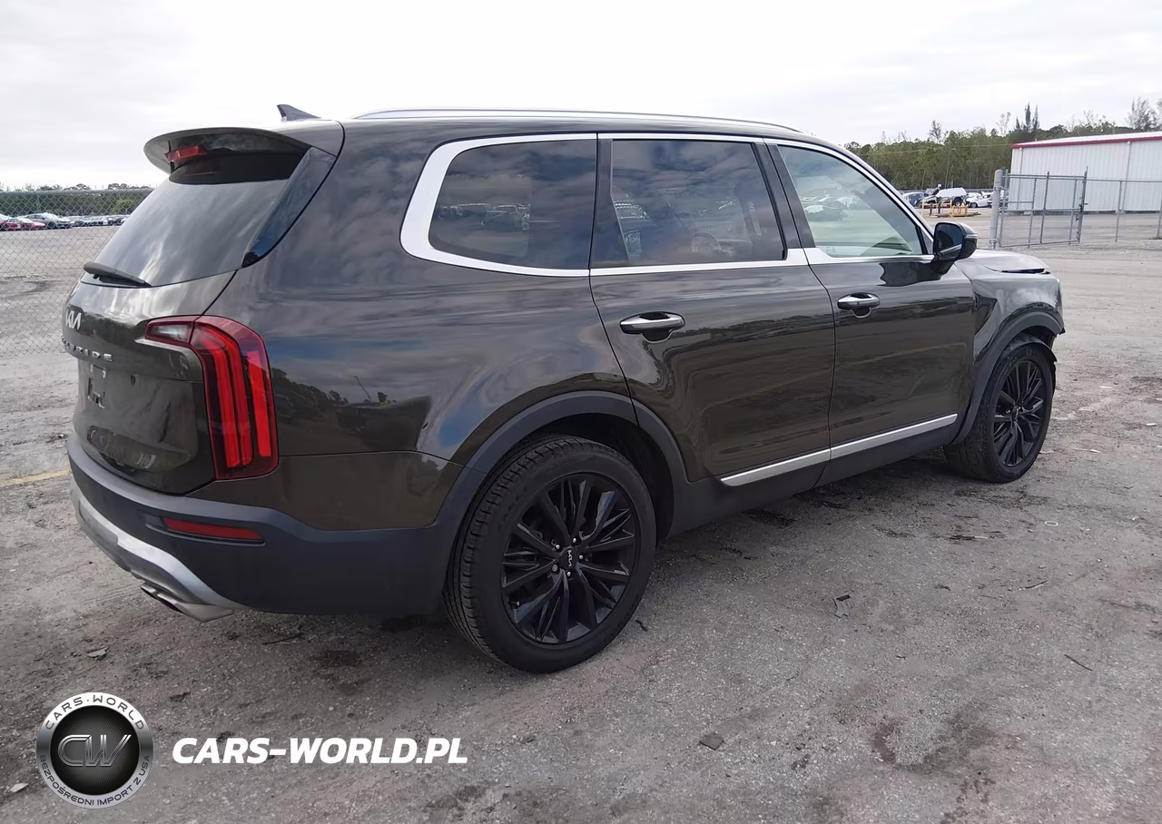 2022 Kia Telluride Sx VIN:5XYP54HC6NG234666 - 4