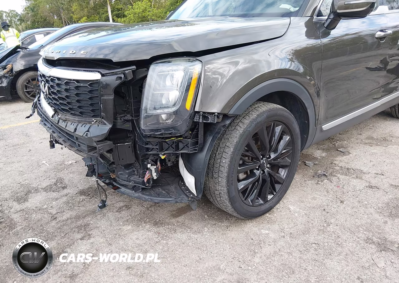 2022 Kia Telluride Sx VIN:5XYP54HC6NG234666 - 6