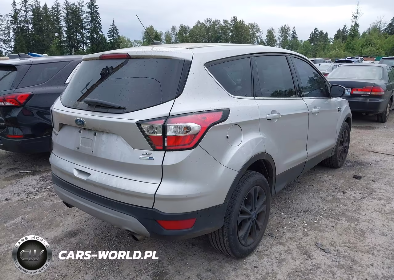 2017 Ford Escape Se VIN:1FMCU9GD6HUC67920 - 4