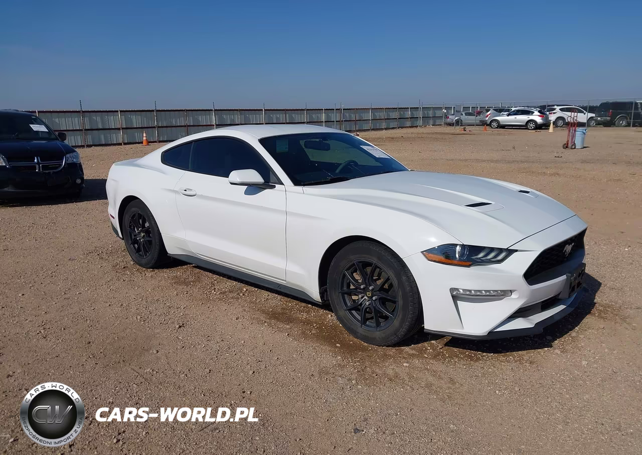 2019 Ford Mustang Ecoboost – zdjęcie 1 z 16