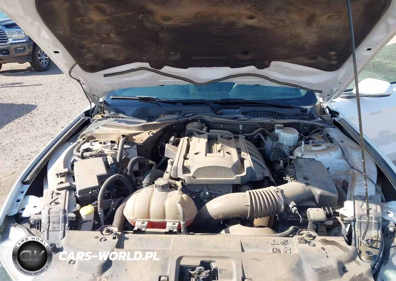 2019 Ford Mustang Ecoboost VIN:1FA6P8TH0K5175222 - 10