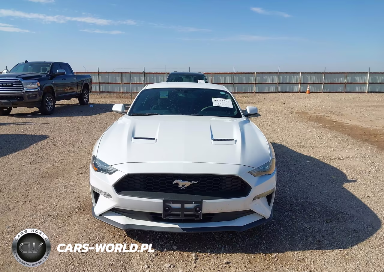 2019 Ford Mustang Ecoboost VIN:1FA6P8TH0K5175222 - 12