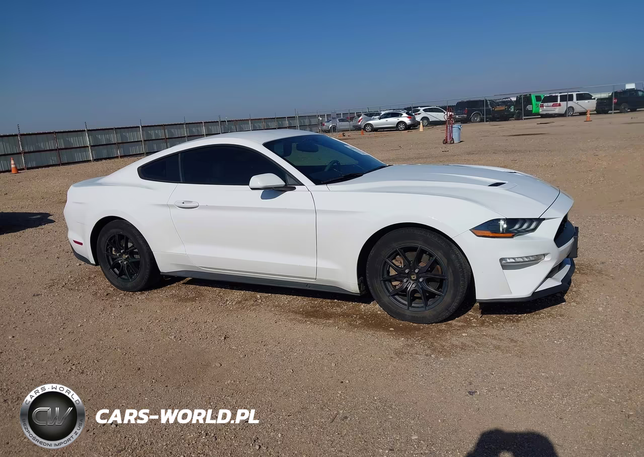 2019 Ford Mustang Ecoboost VIN:1FA6P8TH0K5175222 - 13