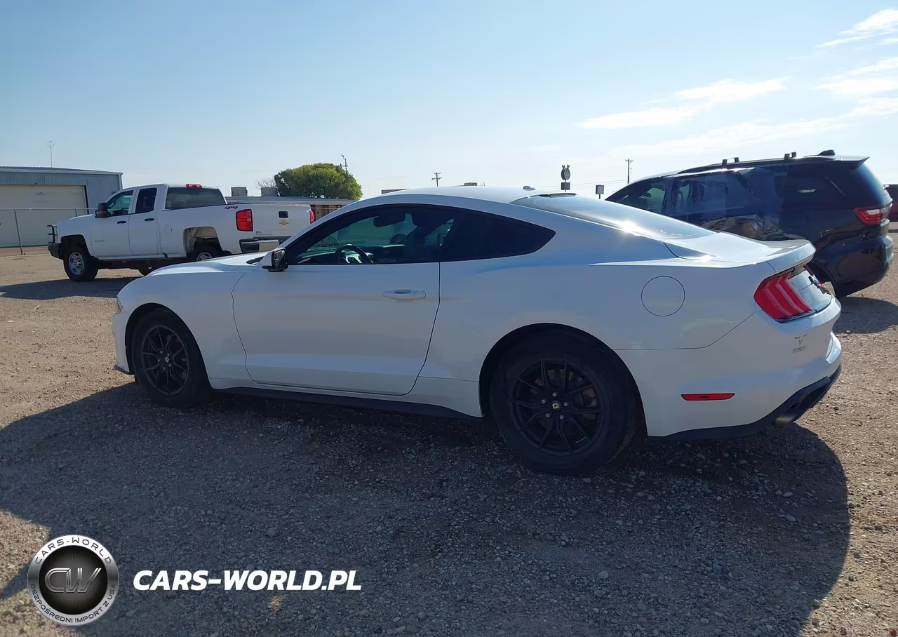 2019 Ford Mustang Ecoboost VIN:1FA6P8TH0K5175222 - 14