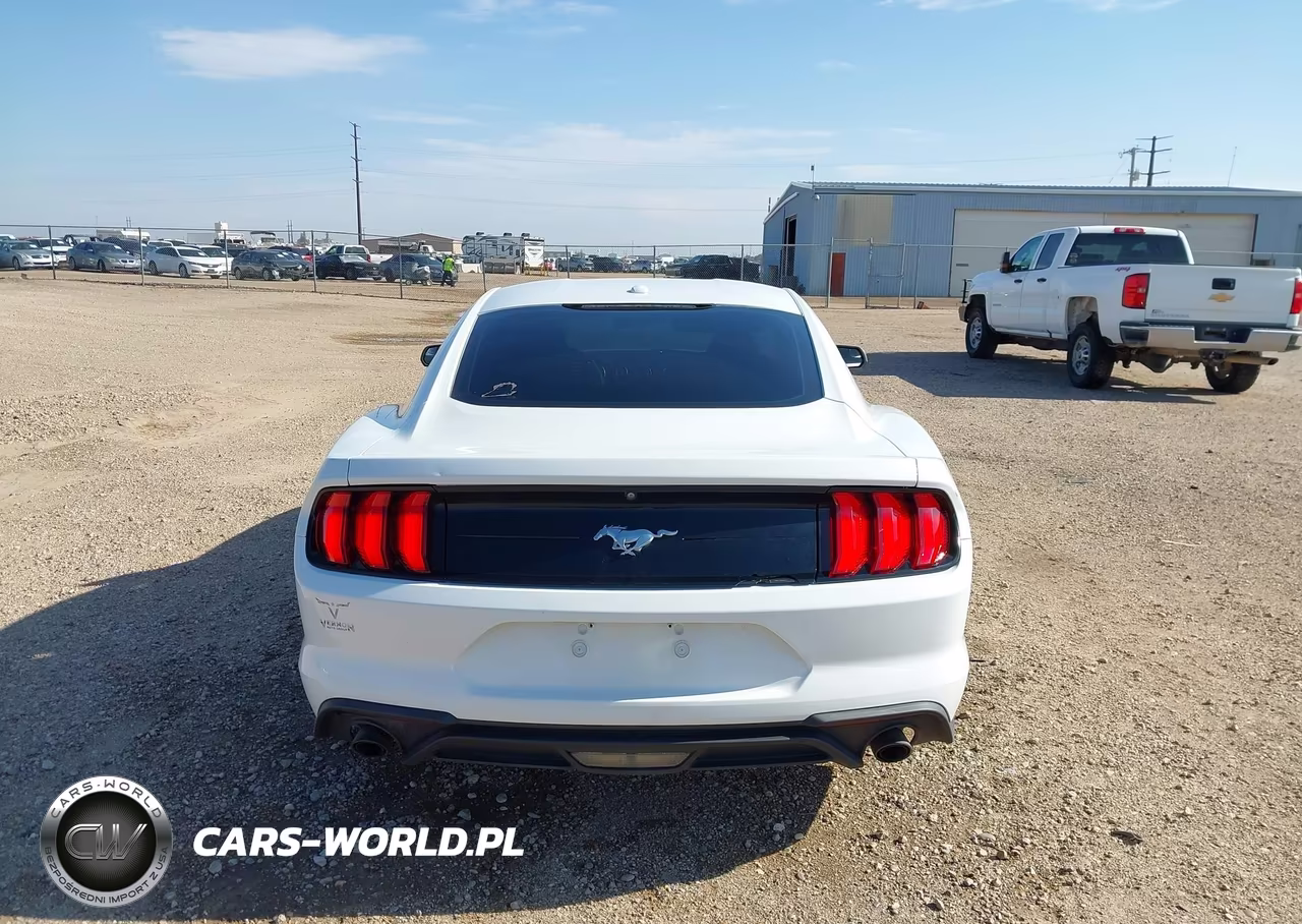 2019 Ford Mustang Ecoboost VIN:1FA6P8TH0K5175222 - 16