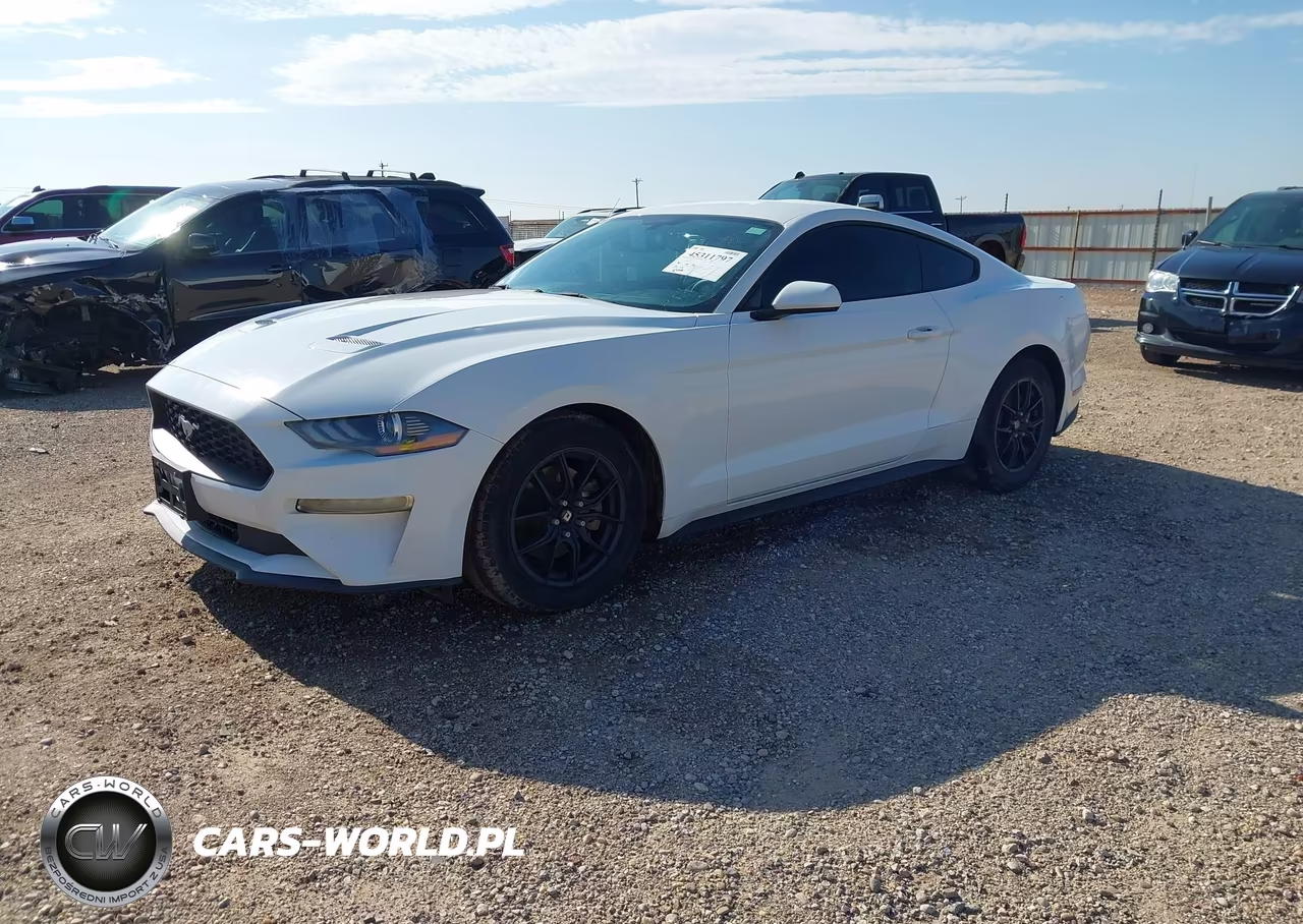 2019 Ford Mustang Ecoboost VIN:1FA6P8TH0K5175222 - 2