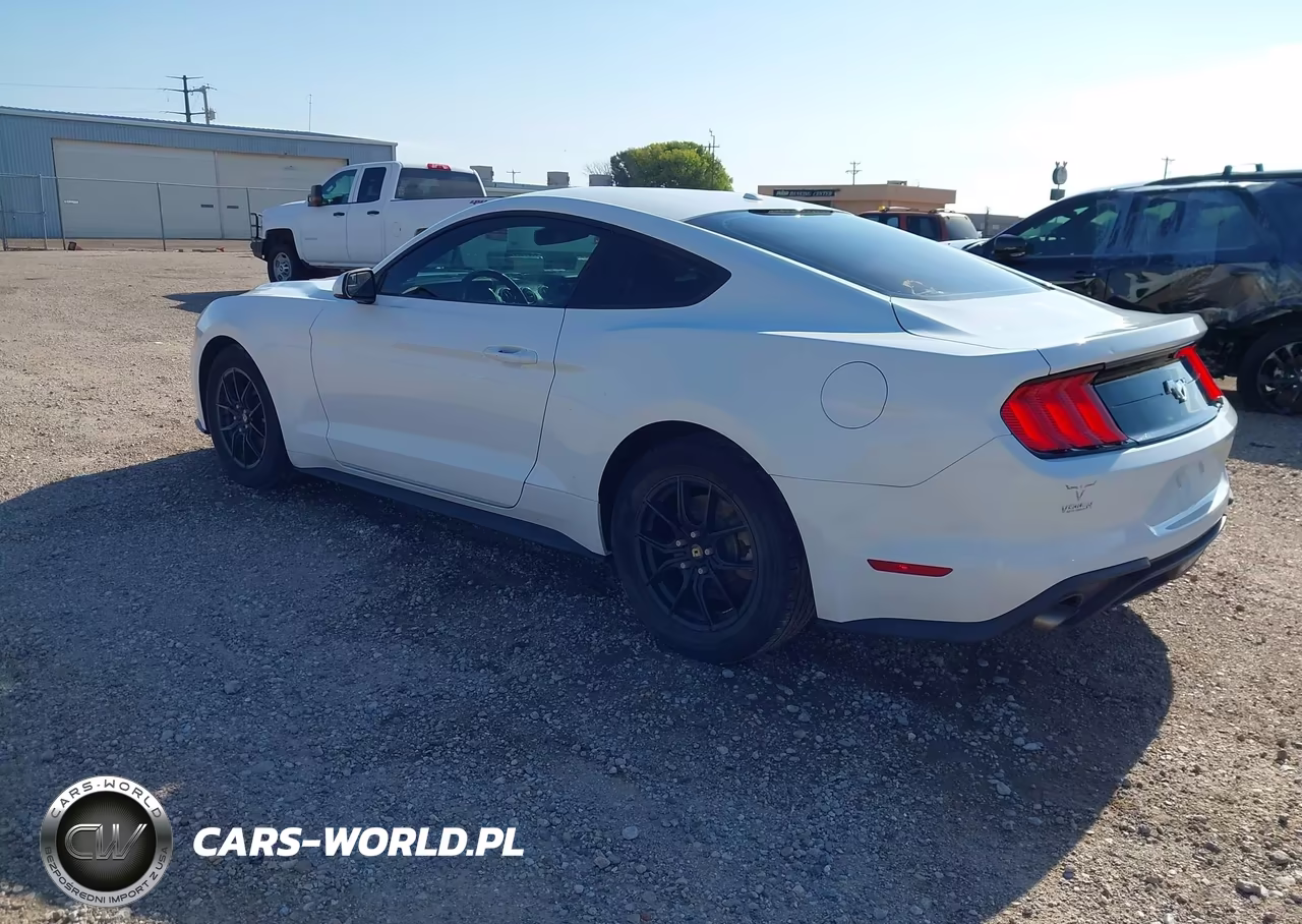 2019 Ford Mustang Ecoboost VIN:1FA6P8TH0K5175222 - 3