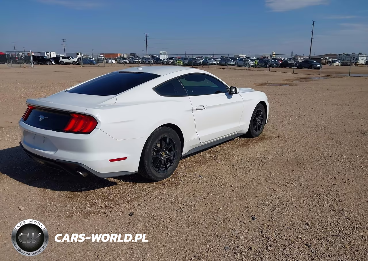 2019 Ford Mustang Ecoboost VIN:1FA6P8TH0K5175222 - 4