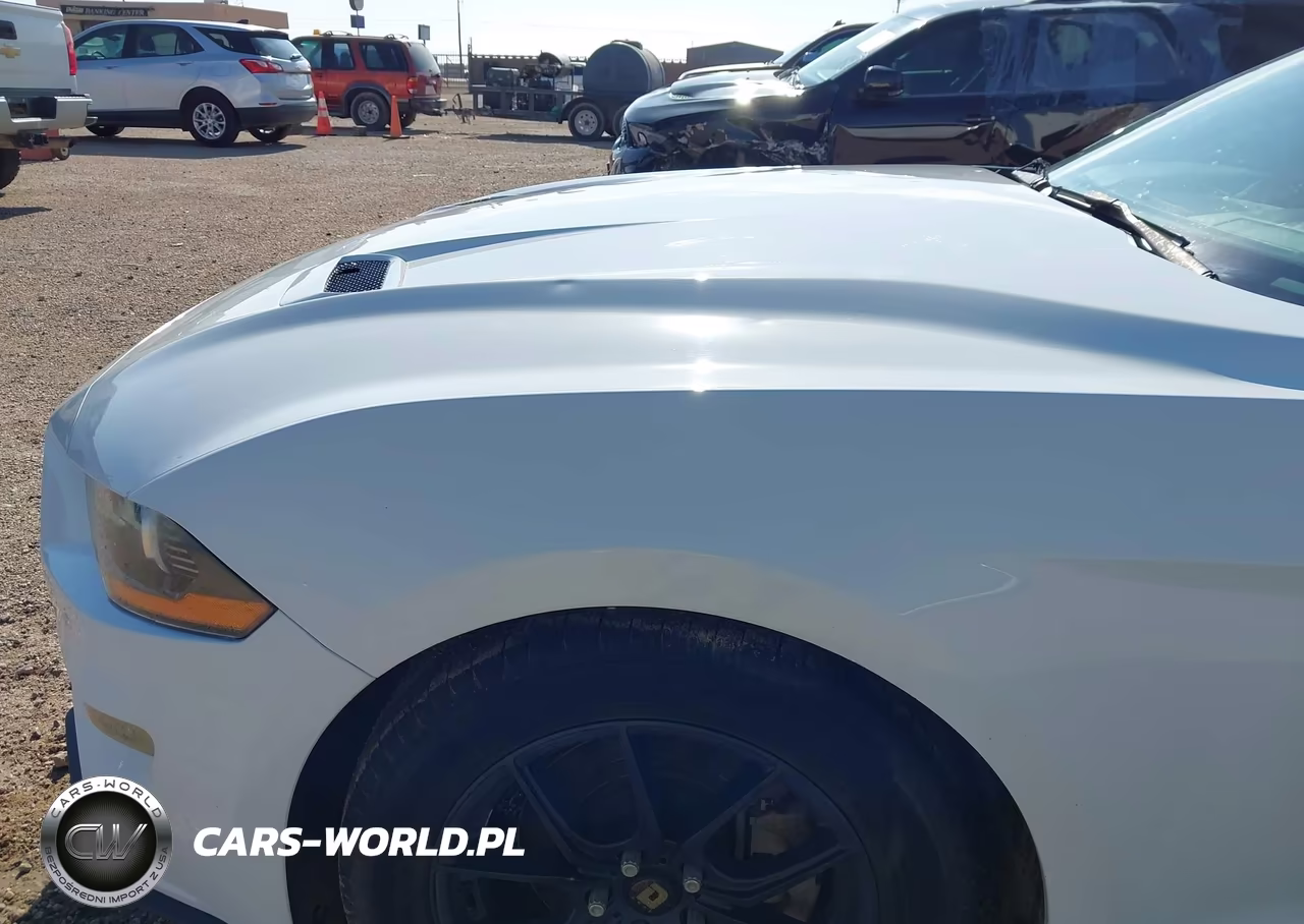 2019 Ford Mustang Ecoboost VIN:1FA6P8TH0K5175222 - 6
