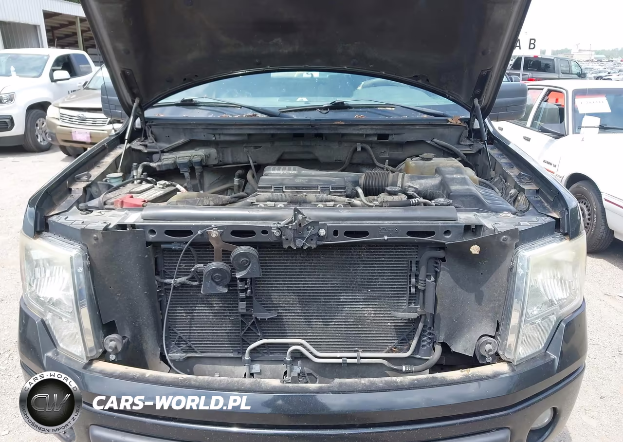 2010 Ford F-150 Stx-Xl-Xlt VIN:1FTMF1CW1AKE15694 - 10