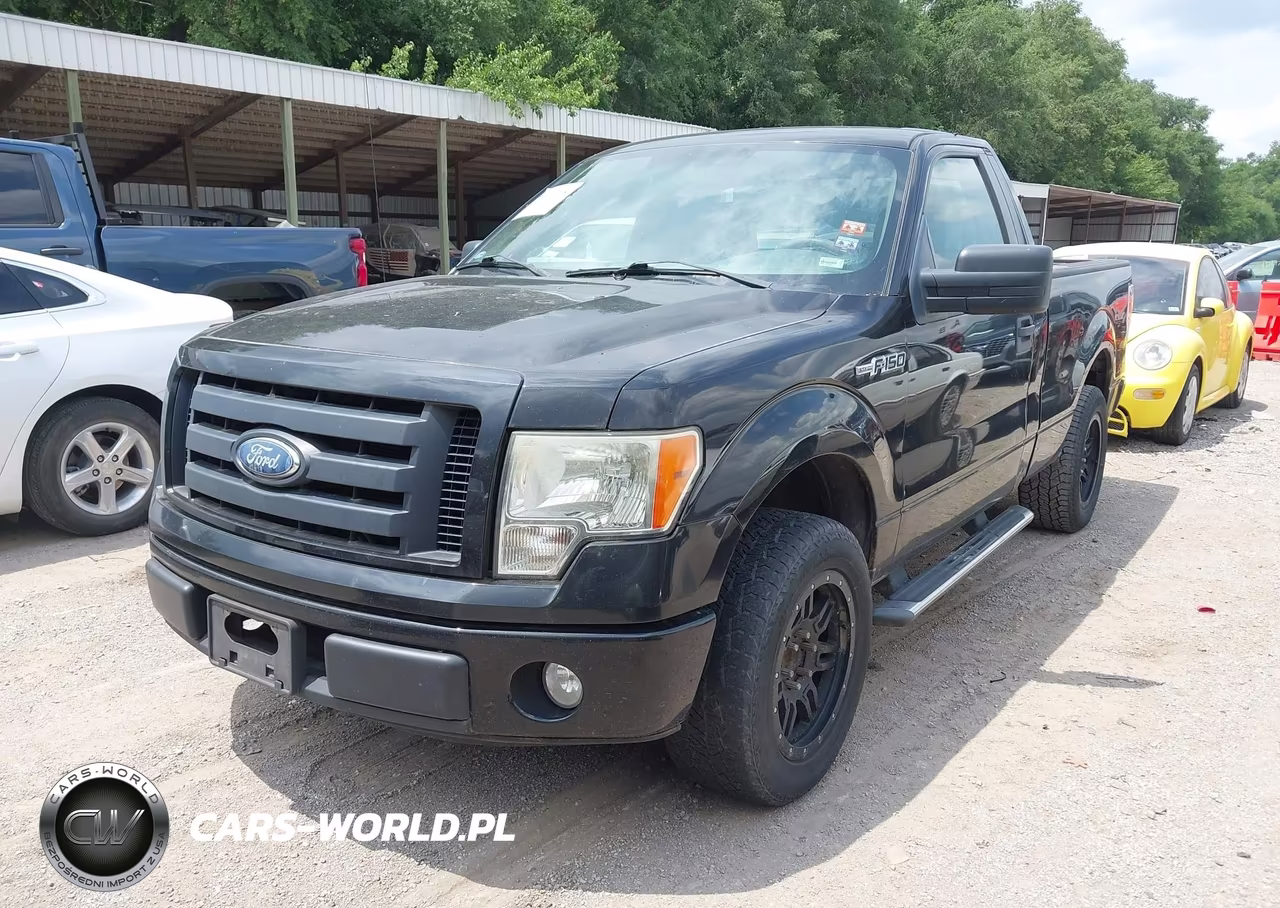 2010 Ford F-150 Stx-Xl-Xlt VIN:1FTMF1CW1AKE15694 - 2
