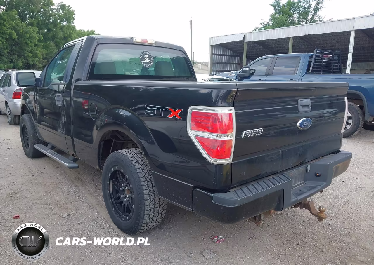2010 Ford F-150 Stx-Xl-Xlt VIN:1FTMF1CW1AKE15694 - 3