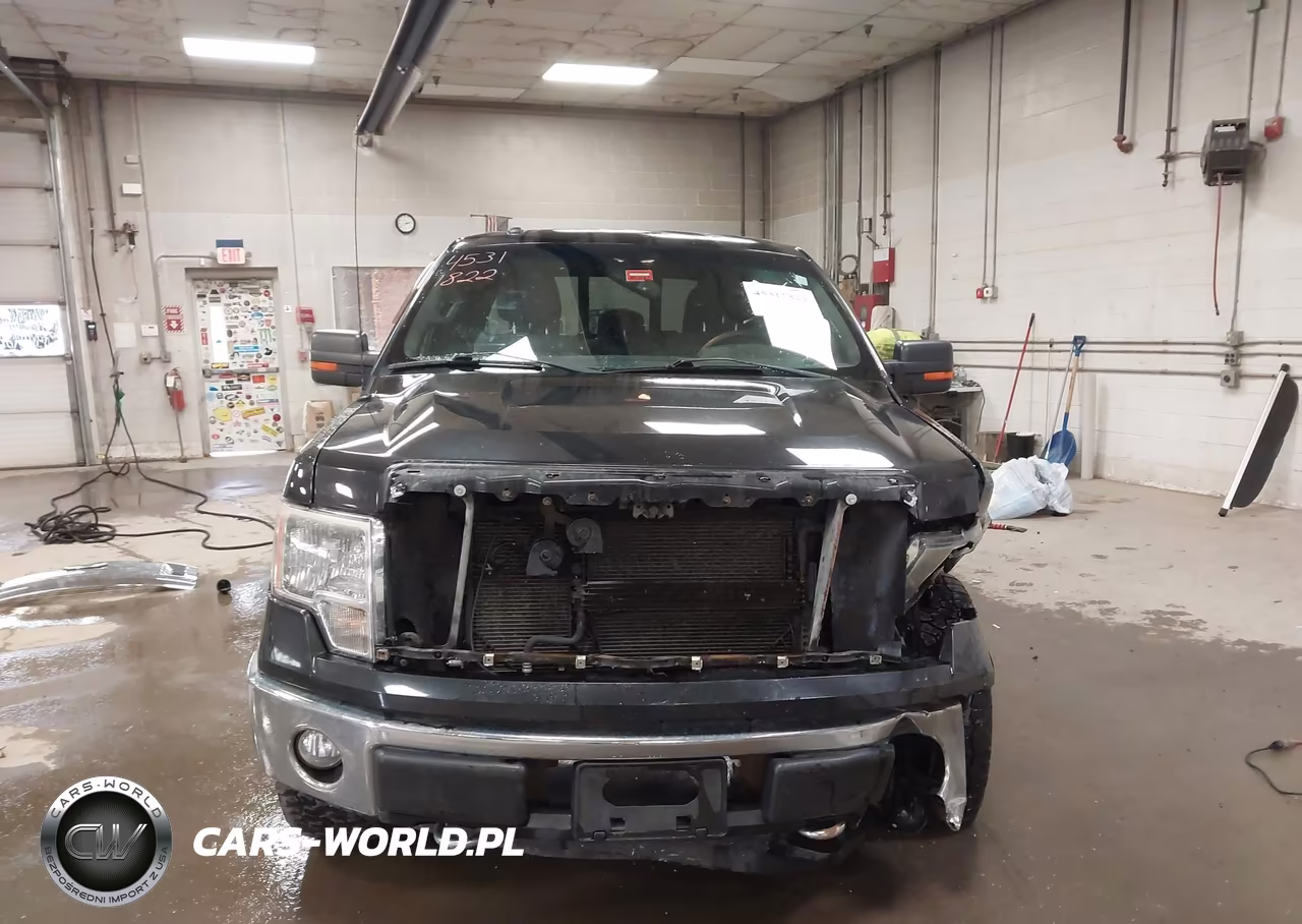 2011 Ford F-150 Xlt VIN:1FTFX1EF6BFB36657 - 13