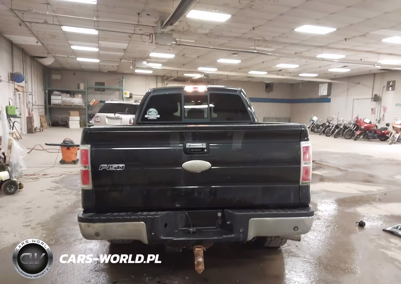 2011 Ford F-150 Xlt VIN:1FTFX1EF6BFB36657 - 17