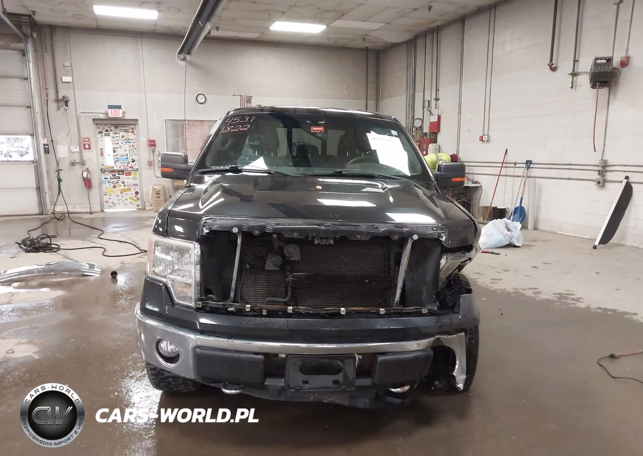2011 Ford F-150 Xlt VIN:1FTFX1EF6BFB36657 - 6