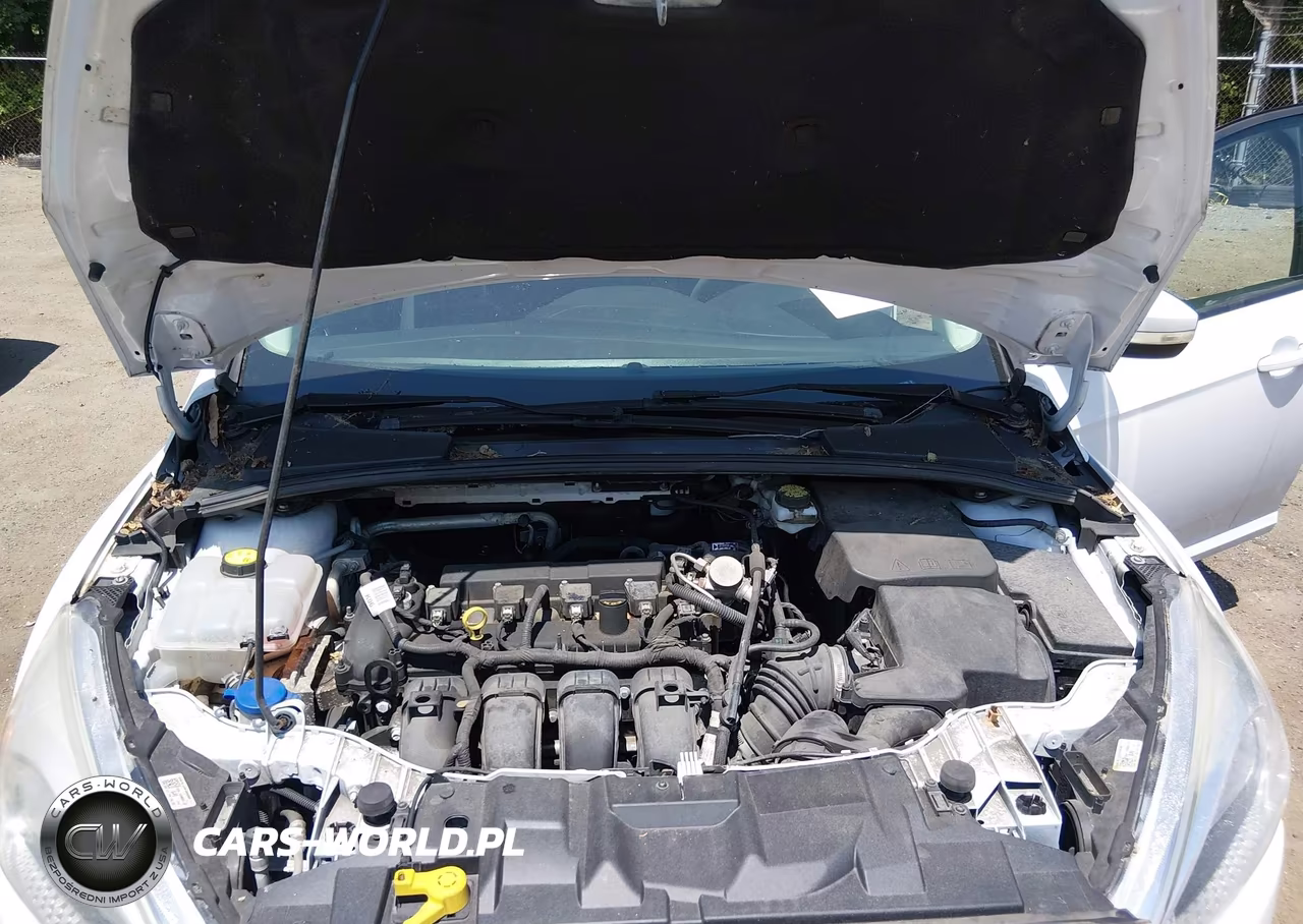 2017 Ford Focus Se VIN:1FADP3F25HL336153 - 10