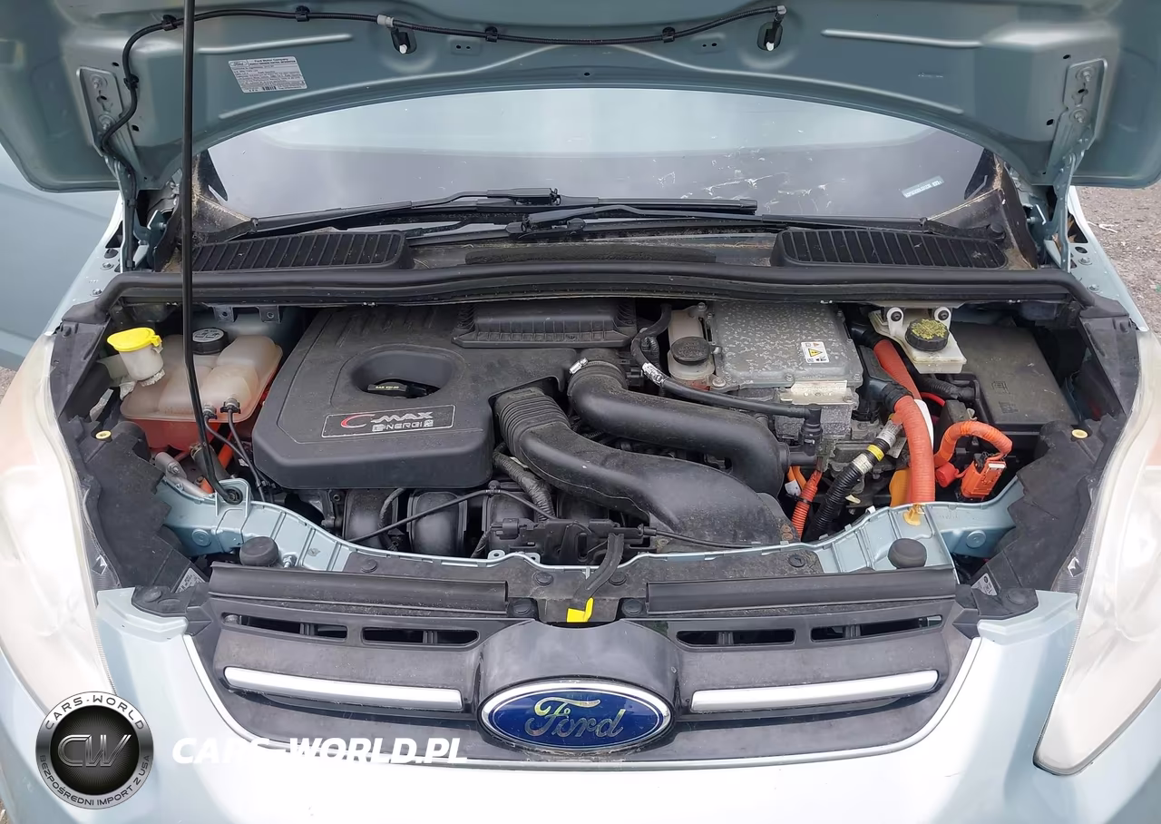 2013 Ford C-Max Energi Sel VIN:1FADP5CU3DL531230 - 10
