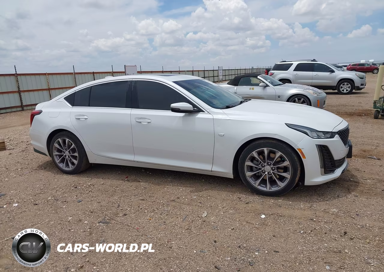 2021 Cadillac Ct5 Premium Luxury VIN:1G6DN5RKXM0130834 - 13