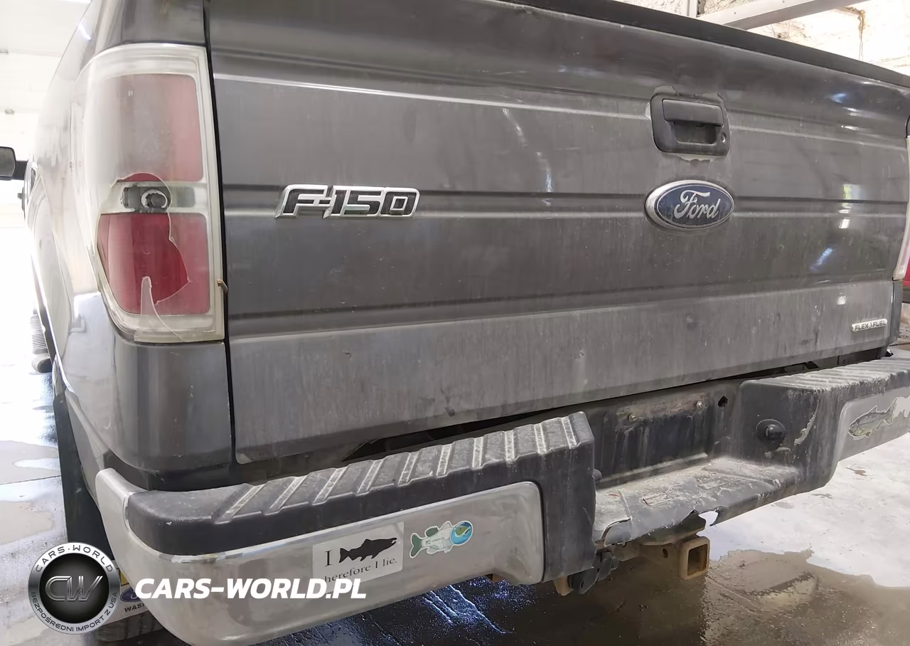 2013 Ford F-150 Xlt VIN:1FTFX1EF5DKD27366 - 6