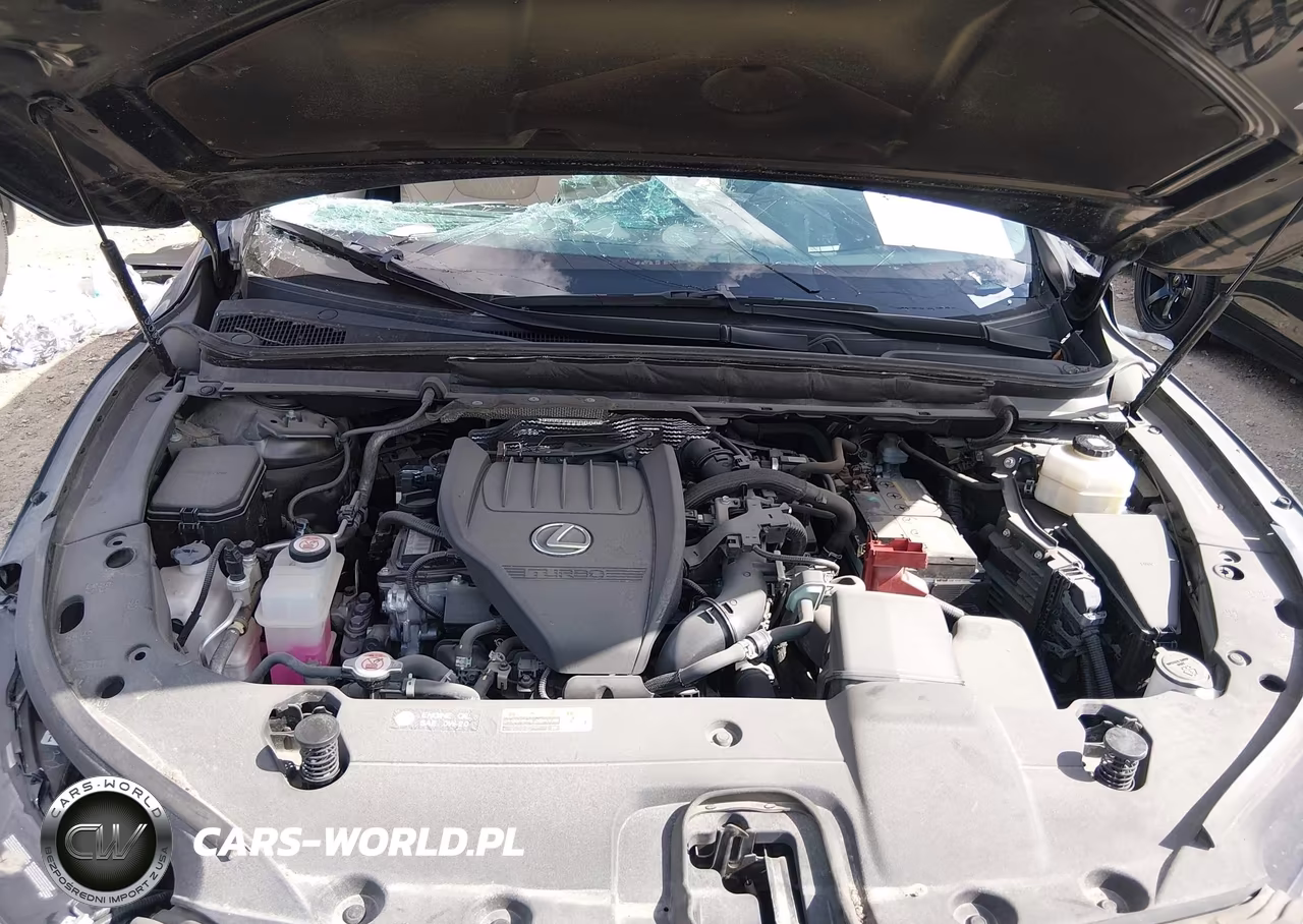 2023 Lexus Rx 350 Premium Plus VIN:2T2BAMBA9PC021024 - 10