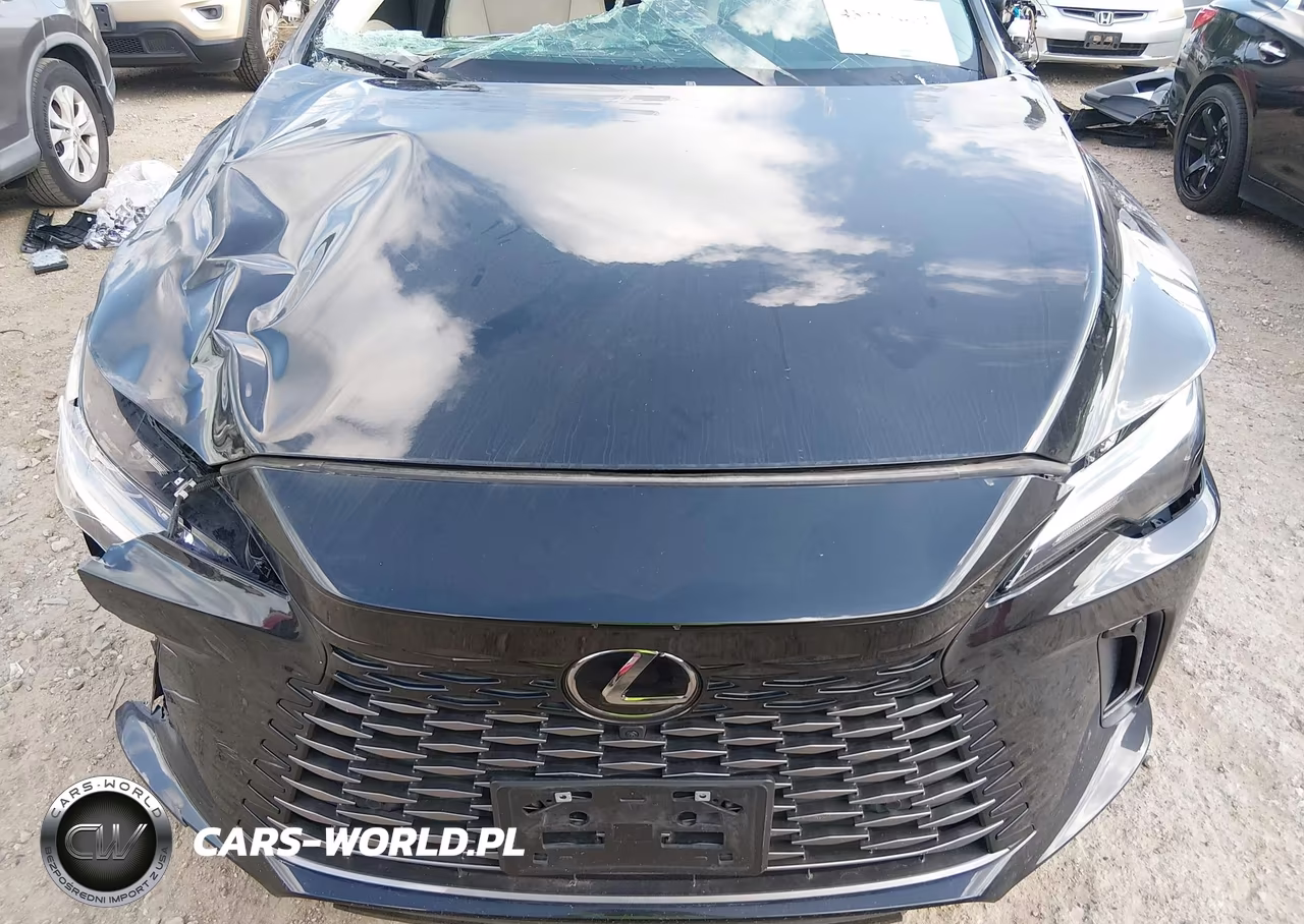 2023 Lexus Rx 350 Premium Plus VIN:2T2BAMBA9PC021024 - 12