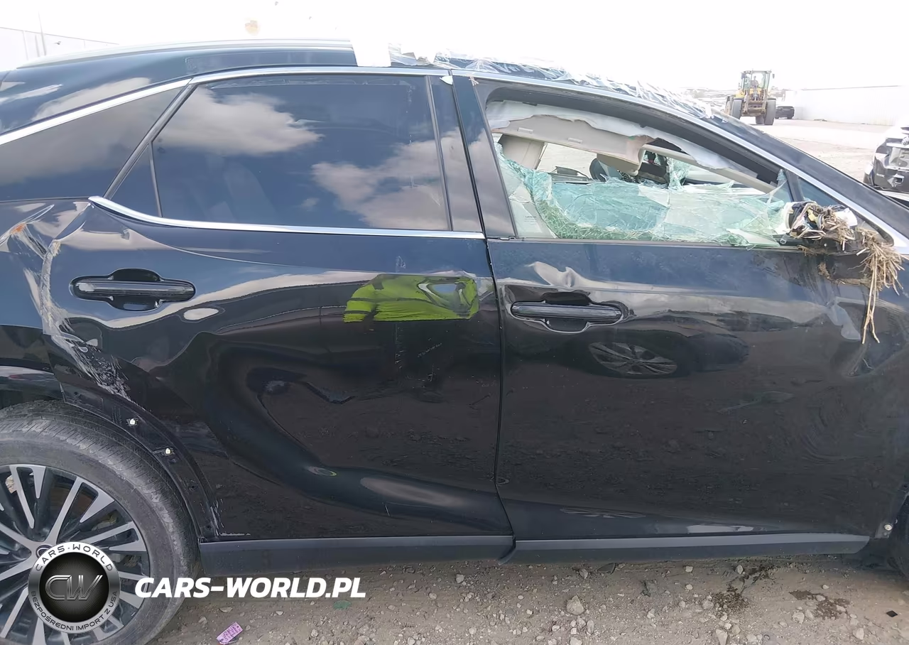 2023 Lexus Rx 350 Premium Plus VIN:2T2BAMBA9PC021024 - 13