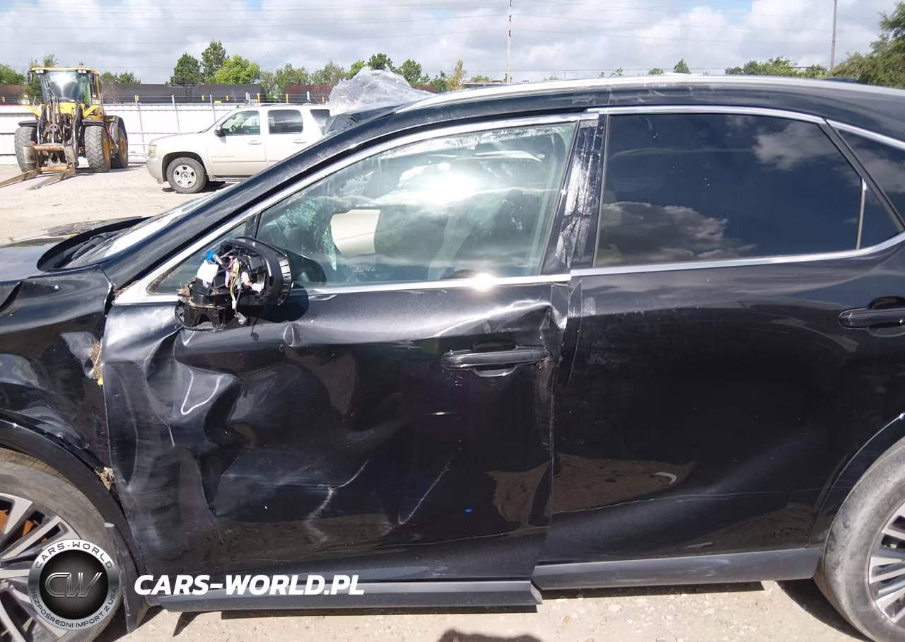 2023 Lexus Rx 350 Premium Plus VIN:2T2BAMBA9PC021024 - 14