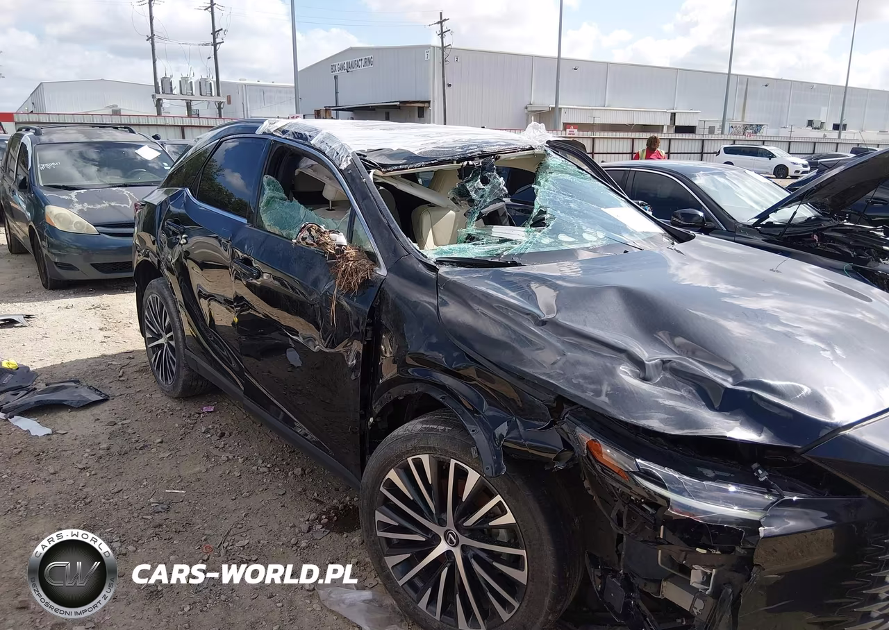 2023 Lexus Rx 350 Premium Plus VIN:2T2BAMBA9PC021024 - 6