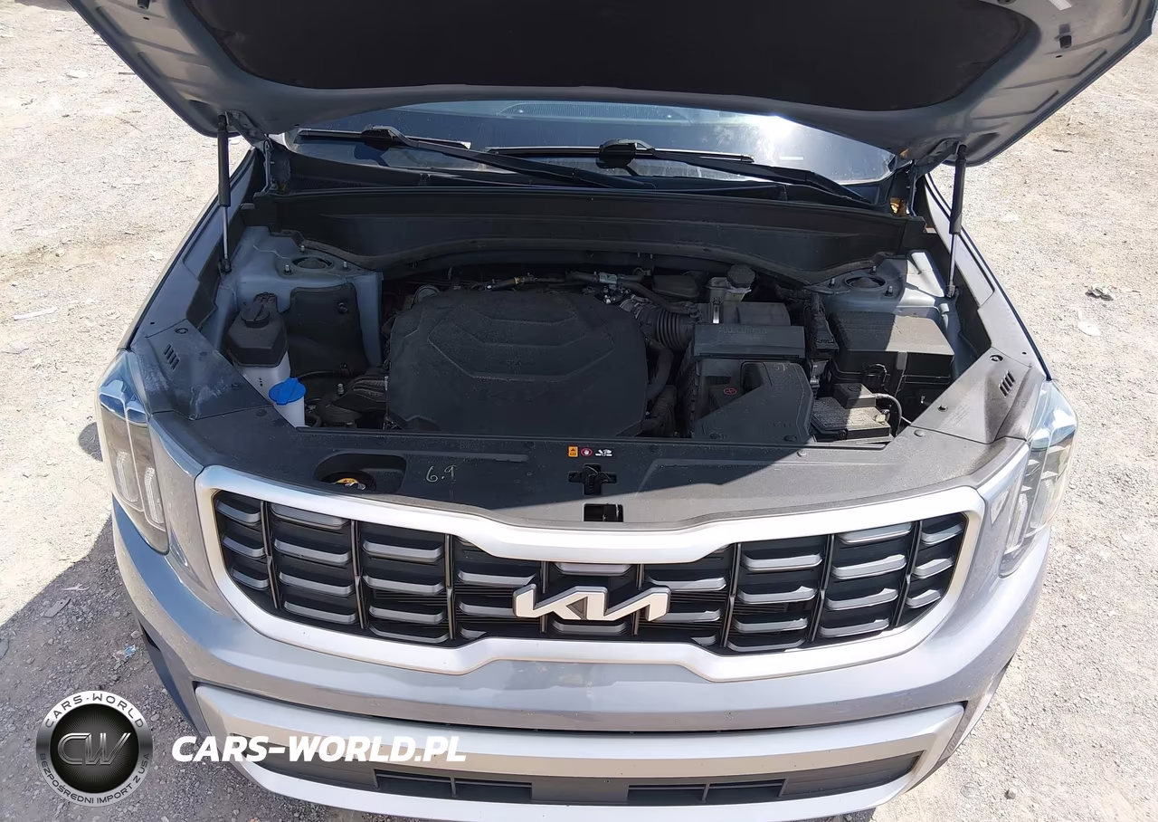 2023 Kia Telluride S VIN:5XYP6DGC1PG371225 - 10
