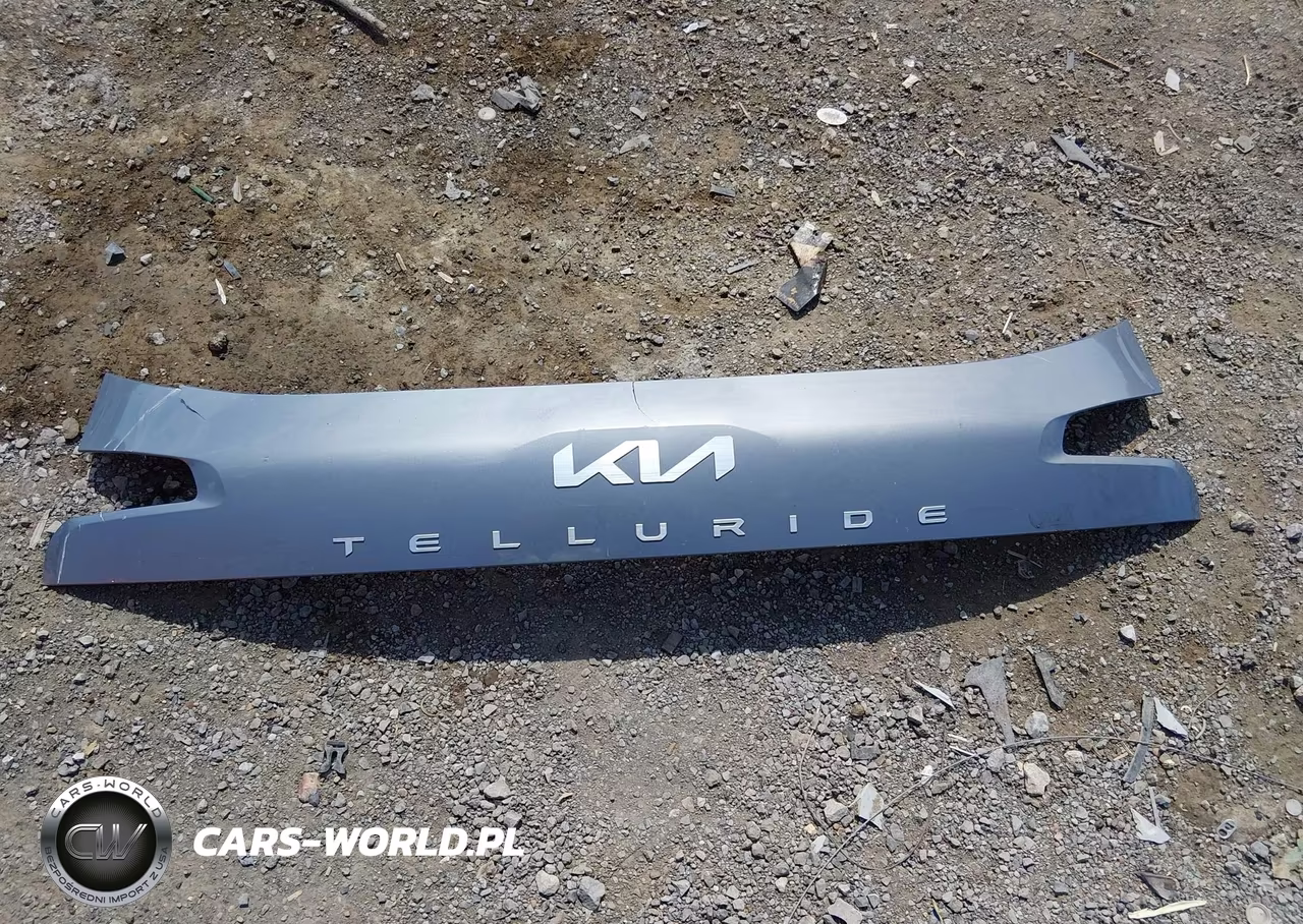 2023 Kia Telluride S VIN:5XYP6DGC1PG371225 - 12