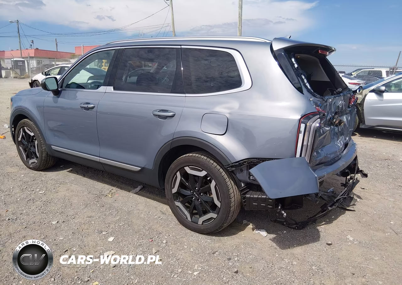 2023 Kia Telluride S VIN:5XYP6DGC1PG371225 - 3