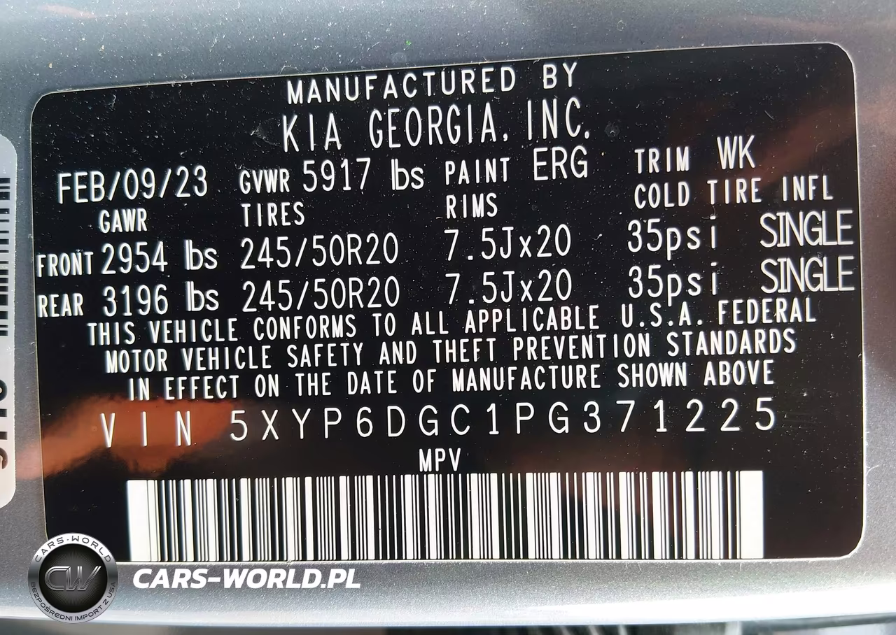 2023 Kia Telluride S VIN:5XYP6DGC1PG371225 - 9