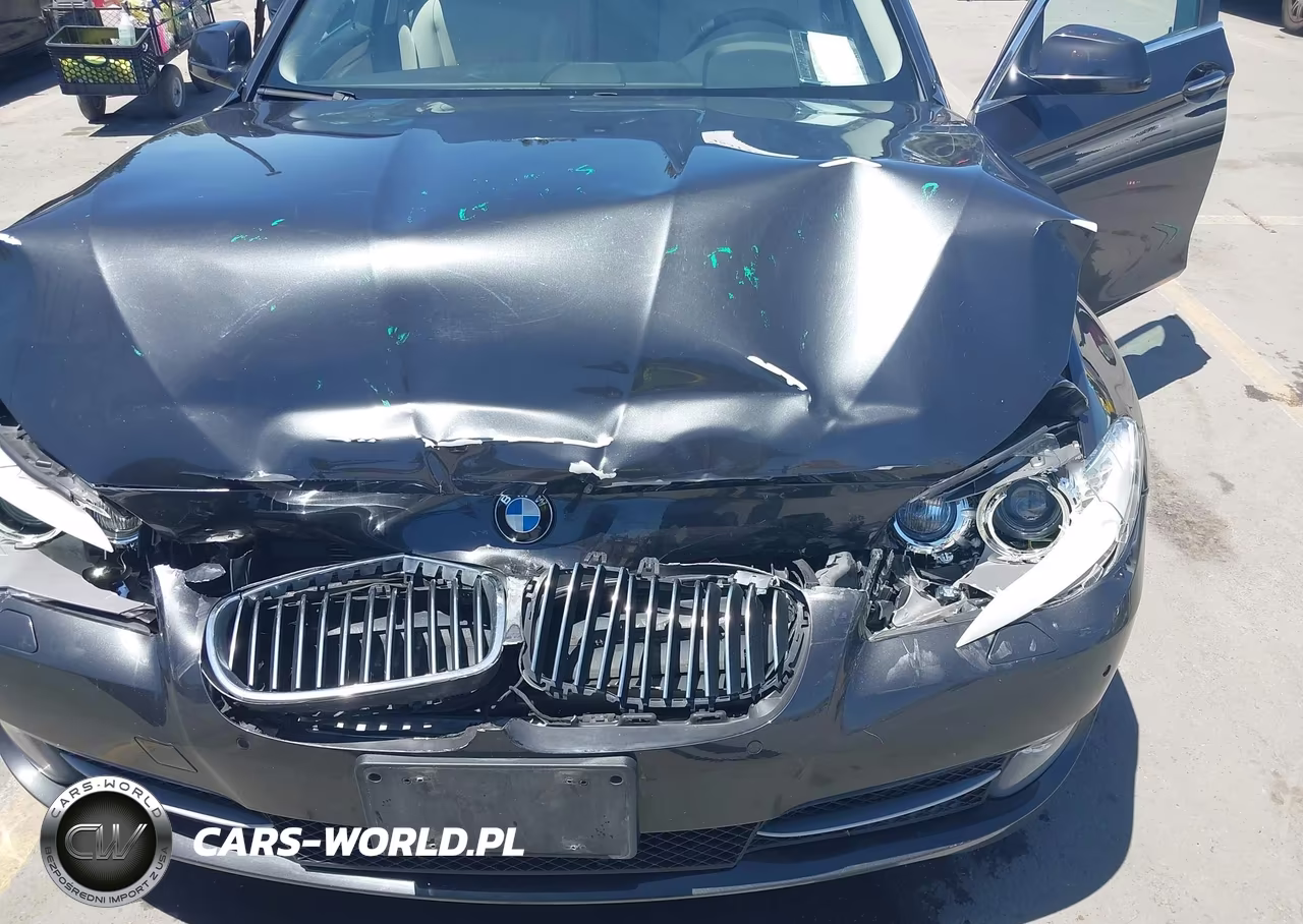 2012 BMW 528I xDrive VIN:WBAXH5C56CDW11172 - 10