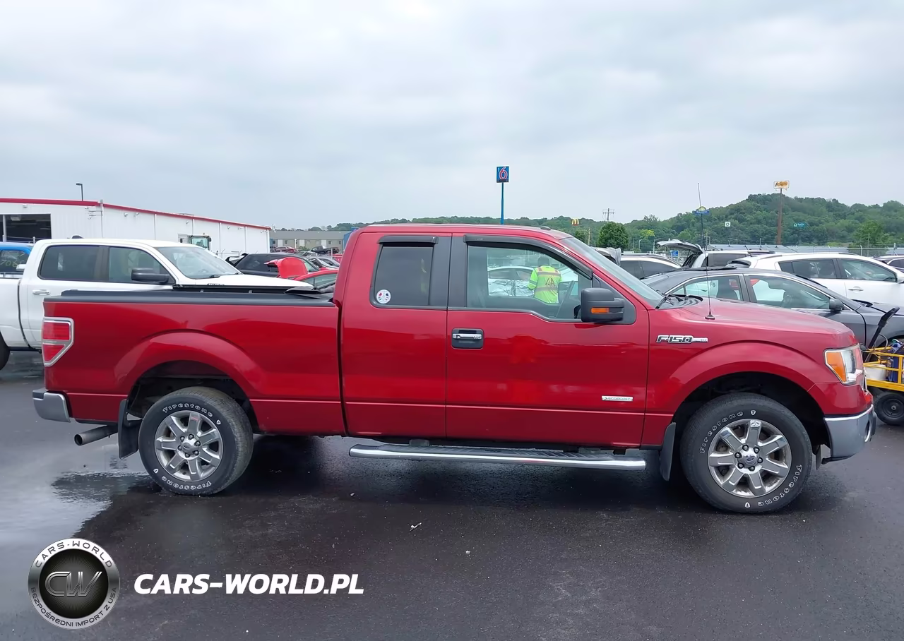 2013 Ford F-150 Xlt VIN:1FTFX1CT1DFB66998 - 13