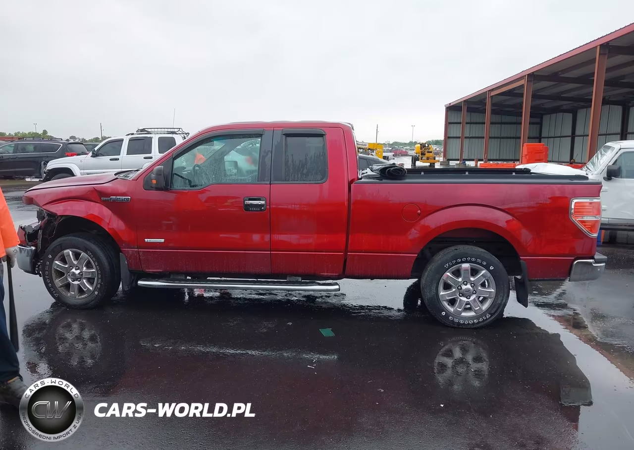 2013 Ford F-150 Xlt VIN:1FTFX1CT1DFB66998 - 14