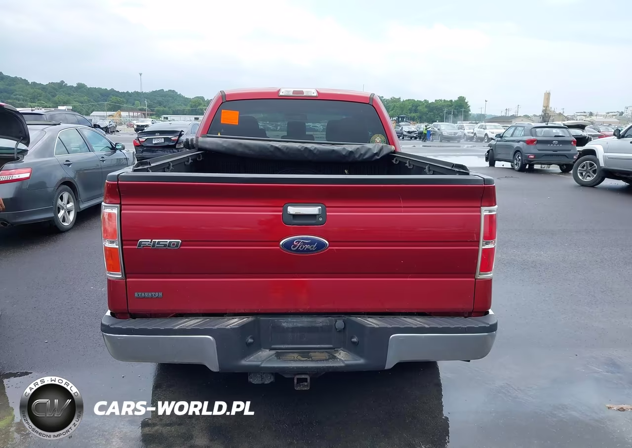 2013 Ford F-150 Xlt VIN:1FTFX1CT1DFB66998 - 16