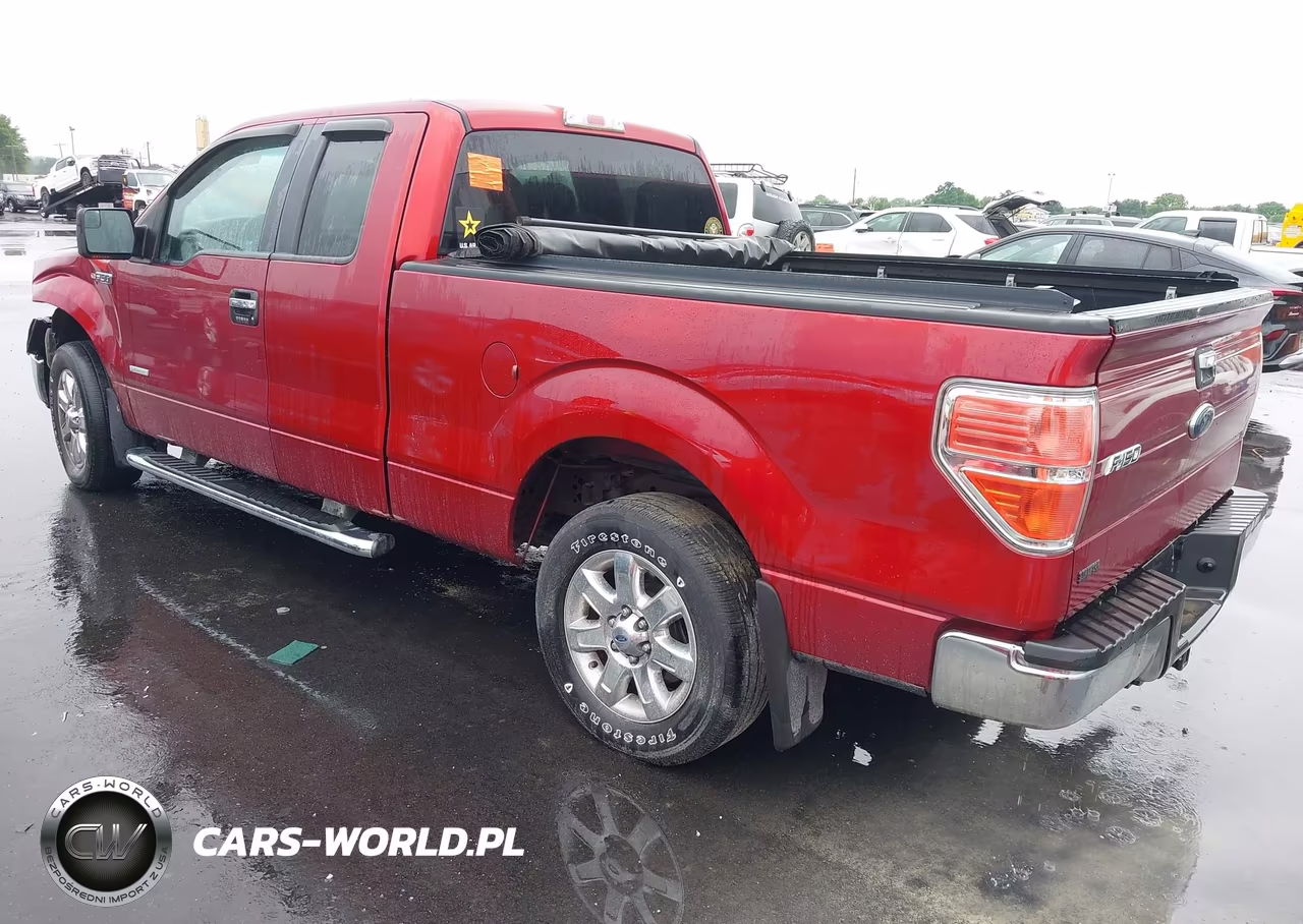 2013 Ford F-150 Xlt VIN:1FTFX1CT1DFB66998 - 3
