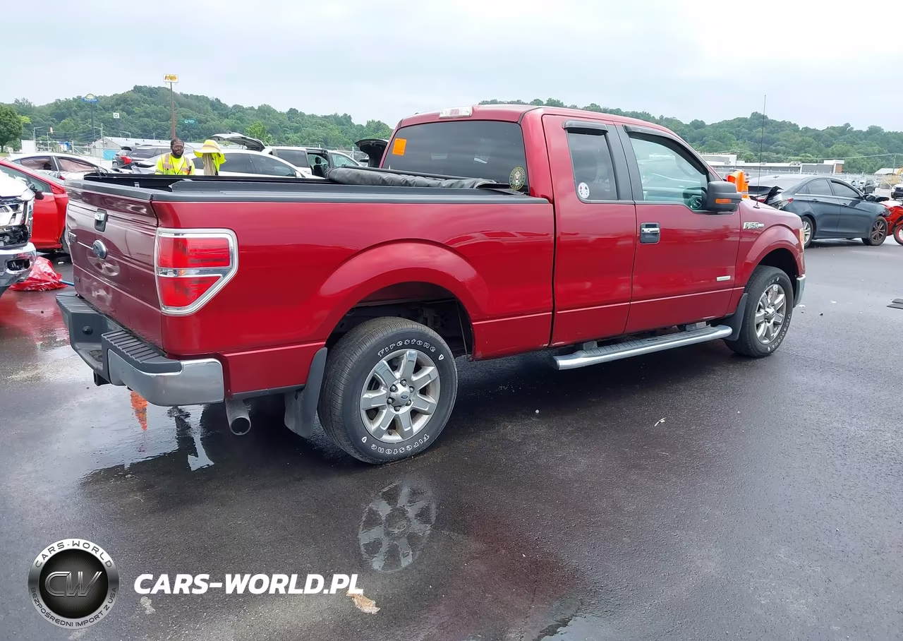 2013 Ford F-150 Xlt VIN:1FTFX1CT1DFB66998 - 4