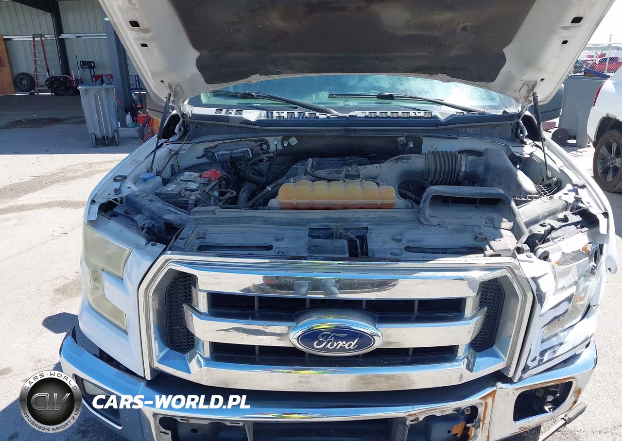2016 Ford F-150 Xlt VIN:1FTEX1CP2GKD60479 - 10