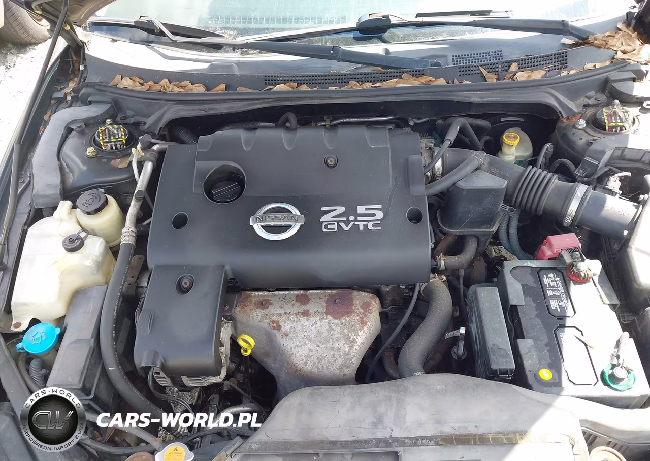 2006 Nissan Altima 2.5 S VIN:1N4AL11D96C255231 - 10