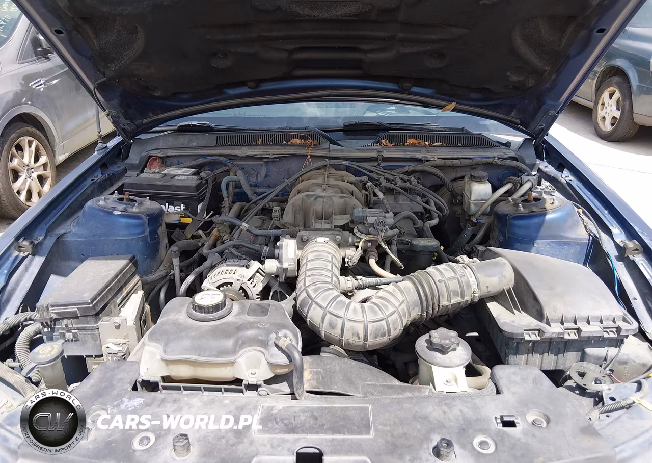2009 Ford Mustang V6-V6 Premium VIN:1ZVHT80N595124086 - 10